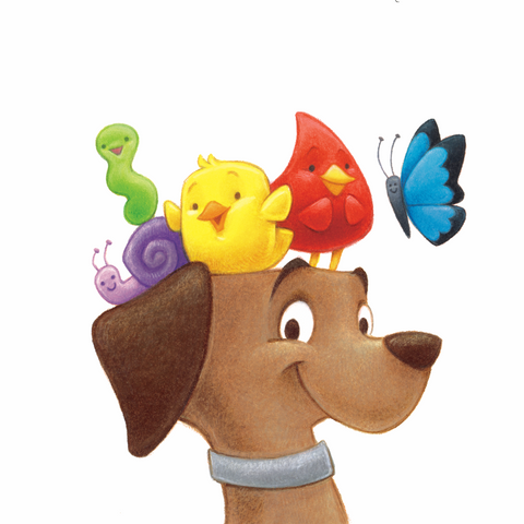 Counting My Colorful World